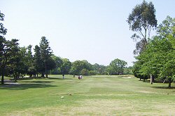 浦和GC 11番ホール