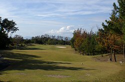 ｾﾝﾄﾊﾟｲﾝｽﾞ大山GC 10番ホール