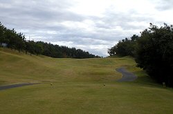 ｾﾝﾄﾊﾟｲﾝｽﾞ大山GC 14番ホール