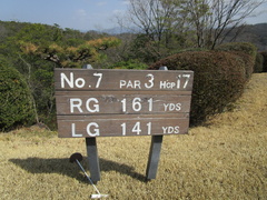 南山カントリークラブ 37 /